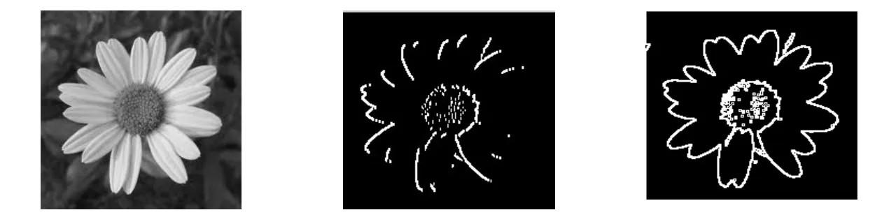 Image Edge Detection Filter